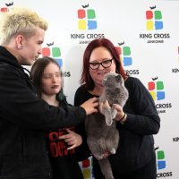 Baby Lasagna na Međunarodnoj izložbi mačaka