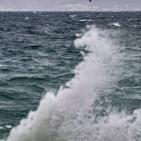 Na splitskom području puše snažno jugo