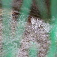 U Zadru je pala rekordna količina kiše u posljednja 24 sata