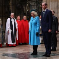 Princ William, kraljica Camilla