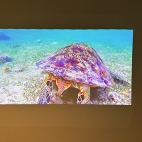 Samsung The Freestyle 2 gen