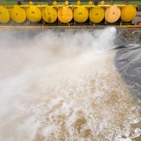 Buština u Velikom Korenovu