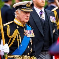 Kralj Charles III. i princ Harry