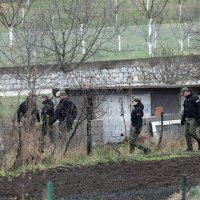 Potraga za djevojčicom Dankom Ilić u okolici Bora