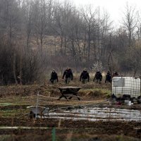 Potraga za djevojčicom Dankom Ilić u okolici Bora