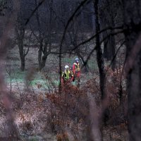 Potraga za djevojčicom Dankom Ilić u okolici Bora