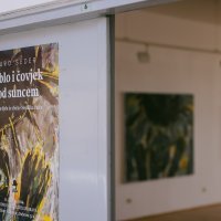 Stablo i čovjek pod suncem Đure Sedera