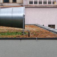 Honor Magic6 Pro - primjeri fotografija