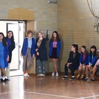 Dnevnik velikog Perice