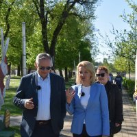 Socijaldemokrati i Nataša Novaković