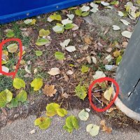 Šprice oko vrtića u Utrinama