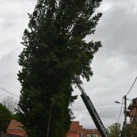 Jak vjetar u Zagrebu