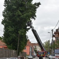 Jak vjetar u Zagrebu