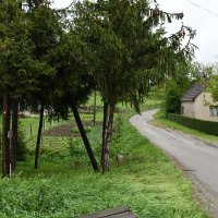 U selu Vladisovu registrirano je 11 birača