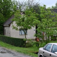 U selu Vladisovu registrirano je 11 birača