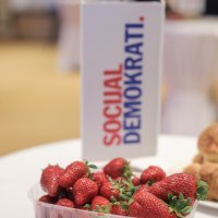 Stožer Socijaldemokrata