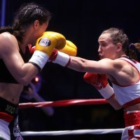 Ivana Habazin - Kinge Magyar