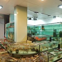 Ribarsko selo u Hong Kongu