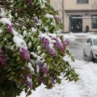 Snijeg u Gorskom kotaru