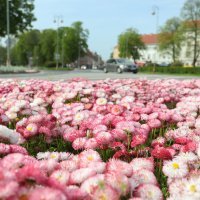 Karlovački parkovi u proljeće