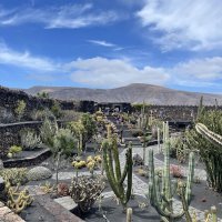 Jardin de Cactus