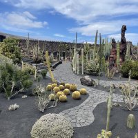 Jardin de Cactus
