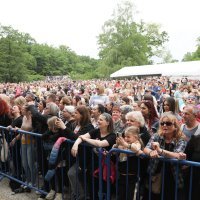 Giboni i Martin Kosovec u Maksimiru