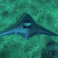 Program Manta Ray ispituje mogućnosti hibernacije