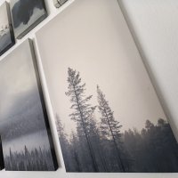 Huawei Pura P70 Pro fotografije