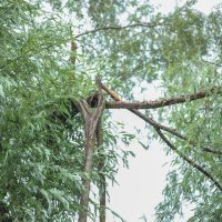 Nevrijeme u okolici Samobora