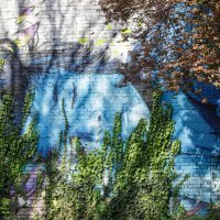 Grafiti i murali na zidovima bivše tvornice Medika