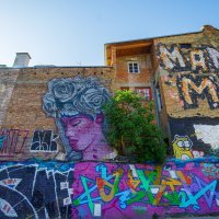 Grafiti i murali na zidovima bivše tvornice Medika