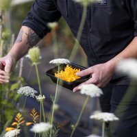 Matthew Lightner - Okta