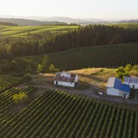 Matthew Lightner - Okta