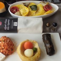 Turkish Airlines - Business Class