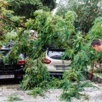 Nevrijeme srušilo stablo na dva osobna vozila