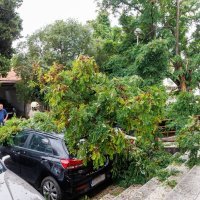 Nevrijeme srušilo stablo na dva osobna vozila