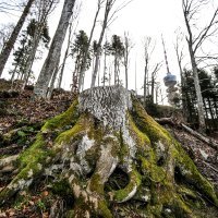 Oštećena žičara na crvenom spustu