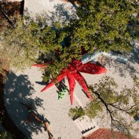 Hobotnica u kamp Glavotok