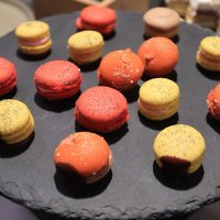 Ponuda hrane u izbornom stožeru Domovinskog pokreta