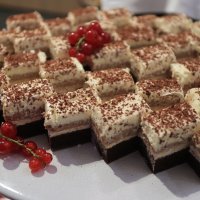 Ponuda hrane u izbornom stožeru Domovinskog pokreta