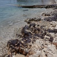 Onečišćenje mora kod Premanture