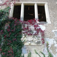 Arboretum Opeka, Vinica