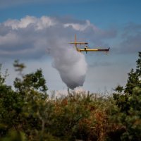 Požar kod Segeta Gornjeg