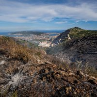 Požar kod Segeta Gornjeg