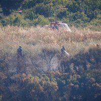 Požar kod Segeta Gornjeg