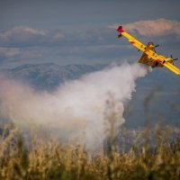 Požar kod Segeta Gornjeg