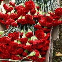 Brezovica, obilježavanje Dana antifašističke borbe