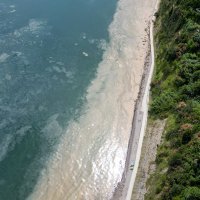 Mulj i sluz na slovenskoj obali Jadrana