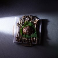 Tartar de Ciervo _ Hoja de Shizo